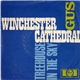 Gus - Winchester Cathedral